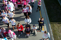 Komen Race For The Cure 030913